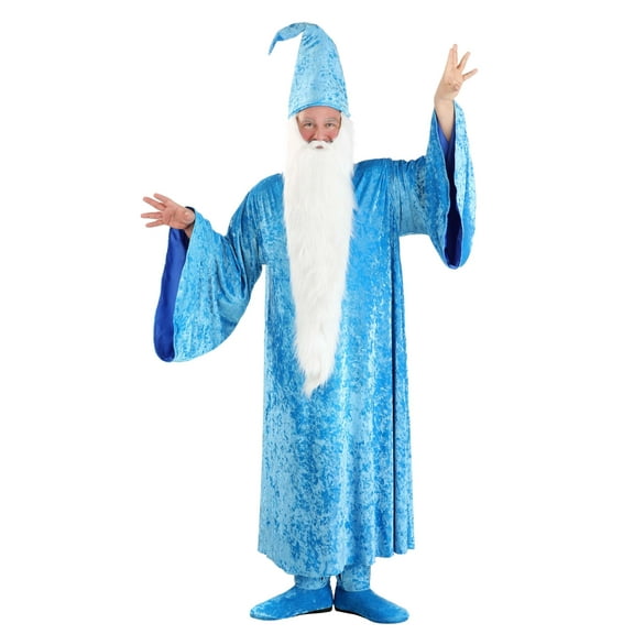 Plus Suze Disney The Sword in the Stone Merlin Men's Costume