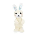 Plush Dog Rabbit Toy Funny Bite Resistance Teeth Grinding Plush Squeaky