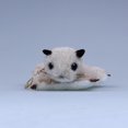 thumbnail image 1 of Plush Flying Squirrel Bag Charm, Stuffed Animal Keychain, 1 of 4