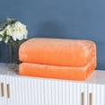 thumbnail image 1 of Plush Fuzzy Fleece Extra Large Super Soft Fluffy And Warm Blankets For Couch Bed Suitable For All Seasons Throw Blanket, 1 of 3