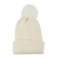 thumbnail image 1 of Hadley Wren Plush Knit Pom Pom Beanie, 1 of 2