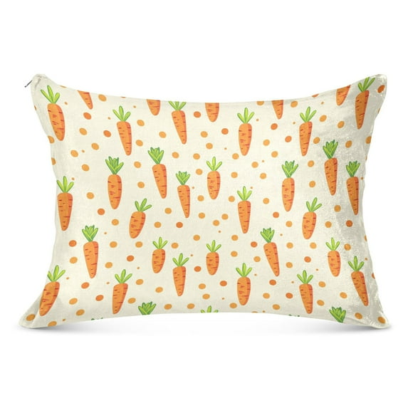 Plush Pillow Cases Standard Size Ultra Soft Warm Pillowcases with Zipper Carrot and Polka Dots 20"x26"