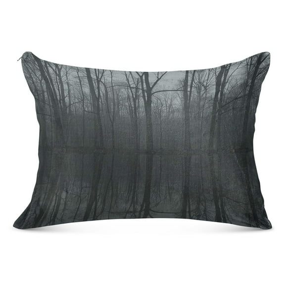 Plush Pillow Cases Standard Size Ultra Soft Warm Pillowcases with Zipper Dark Forest Reflections in Water 20"x26"