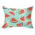 thumbnail image 1 of Plush Pillow Covers Luxury Soft Throw Pillow Cases Decorative Bed Sofa Cushion with Zipper 20x26in Watermelons, 1 of 8
