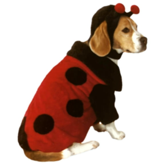Plush Red Ladybug Dog Costume 2PC Pet Lady Bug Halloween Outfit Large 21-30 lbs