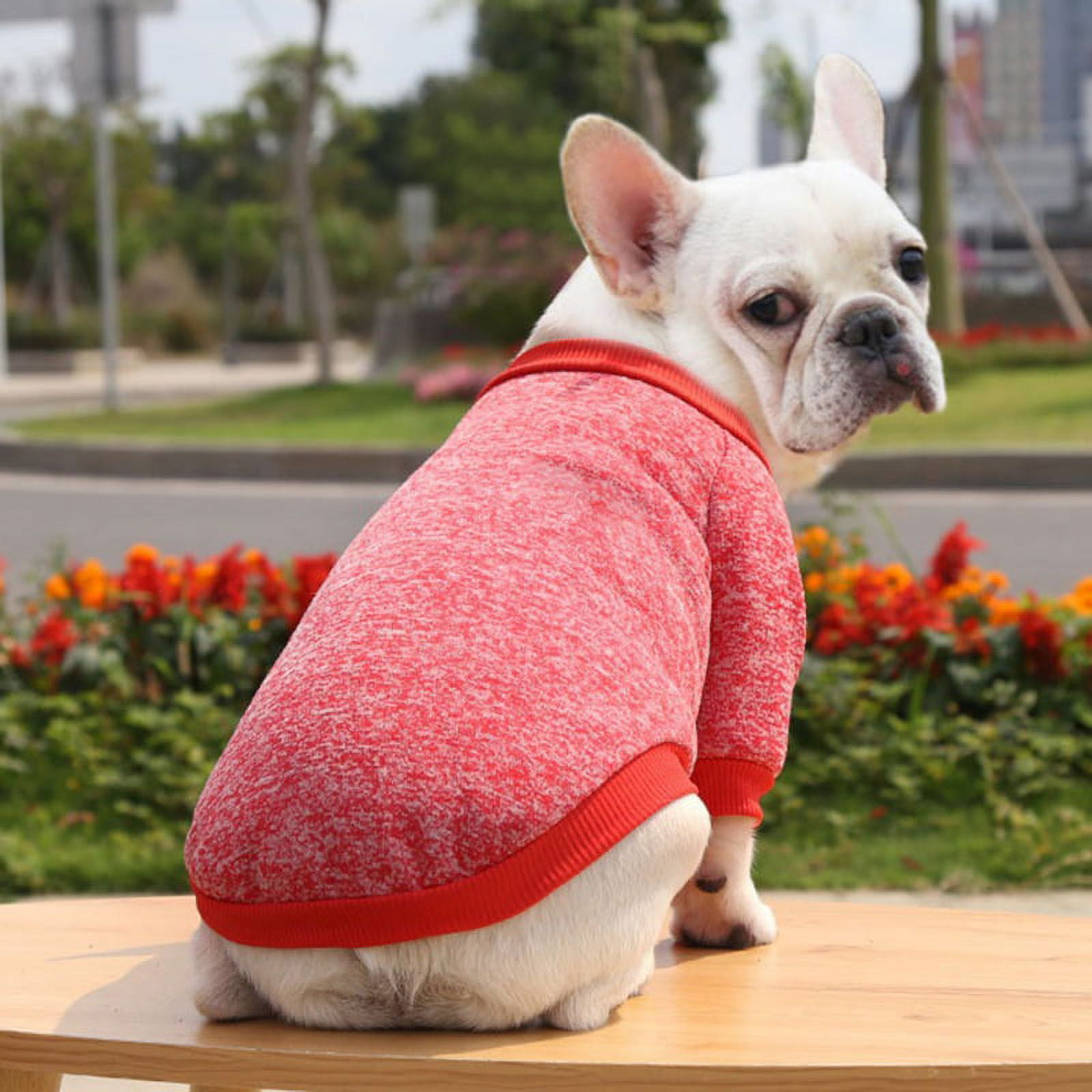 Funny Dog Sweater, Bulldog Sweatshirts