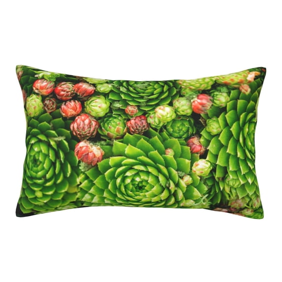 Plush Throw Pillow Covers, Cactus And Succulents Pillow Cases with Invisible Zipper, Breathable Microfiber Pillow Cases Standard Size for Sleeping Bedroom Sofa Living Room 14x20