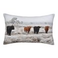 thumbnail image 1 of Plush Throw Pillow Covers, Cow (2) Pillow Cases with Invisible Zipper, Breathable Microfiber Pillow Cases Standard Size for Sleeping Bedroom Sofa Living Room 14x20, 1 of 5