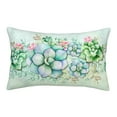 thumbnail image 1 of Plush Throw Pillow Covers, Succulent Pillow Cases with Invisible Zipper, Breathable Microfiber Pillow Cases Standard Size for Sleeping Bedroom Sofa Living Room 14x20, 1 of 5