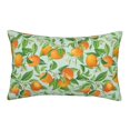thumbnail image 1 of Plush Throw Pillow Covers, Tangerine Pillow Cases with Invisible Zipper, Breathable Microfiber Pillow Cases Standard Size for Sleeping Bedroom Sofa Living Room 20x30, 1 of 5