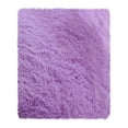 thumbnail image 1 of Plush Throw Rugs,Shag Area Rug for Living Room,Soft Fluffy Small Shaggy Rug for Bedroom Dorm Kids Room Indoor Home Decorative, Non-Slip Plush Furry Fur Area Rugs Comfy Nursery Accent Floor Carpet, 1 of 3