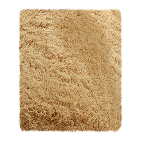 Plush Throw Rugs,Shag Area Rug for Living Room,Soft Fluffy Small Shaggy Rug for Bedroom Dorm Kids Room Indoor Home Decorative, Non-Slip Plush Furry Fur Area Rugs Comfy Nursery Accent Floor Carpet