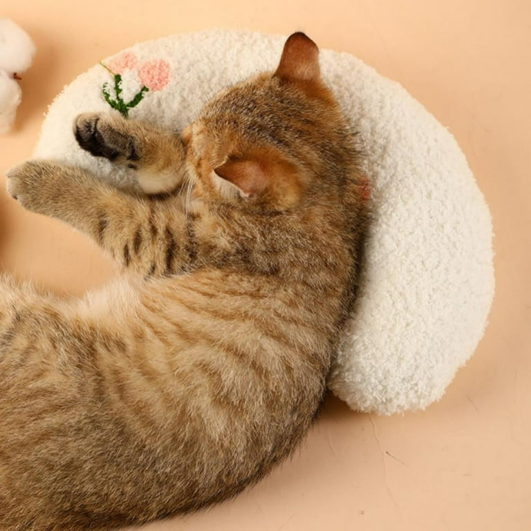 Catnip pillows top for cats