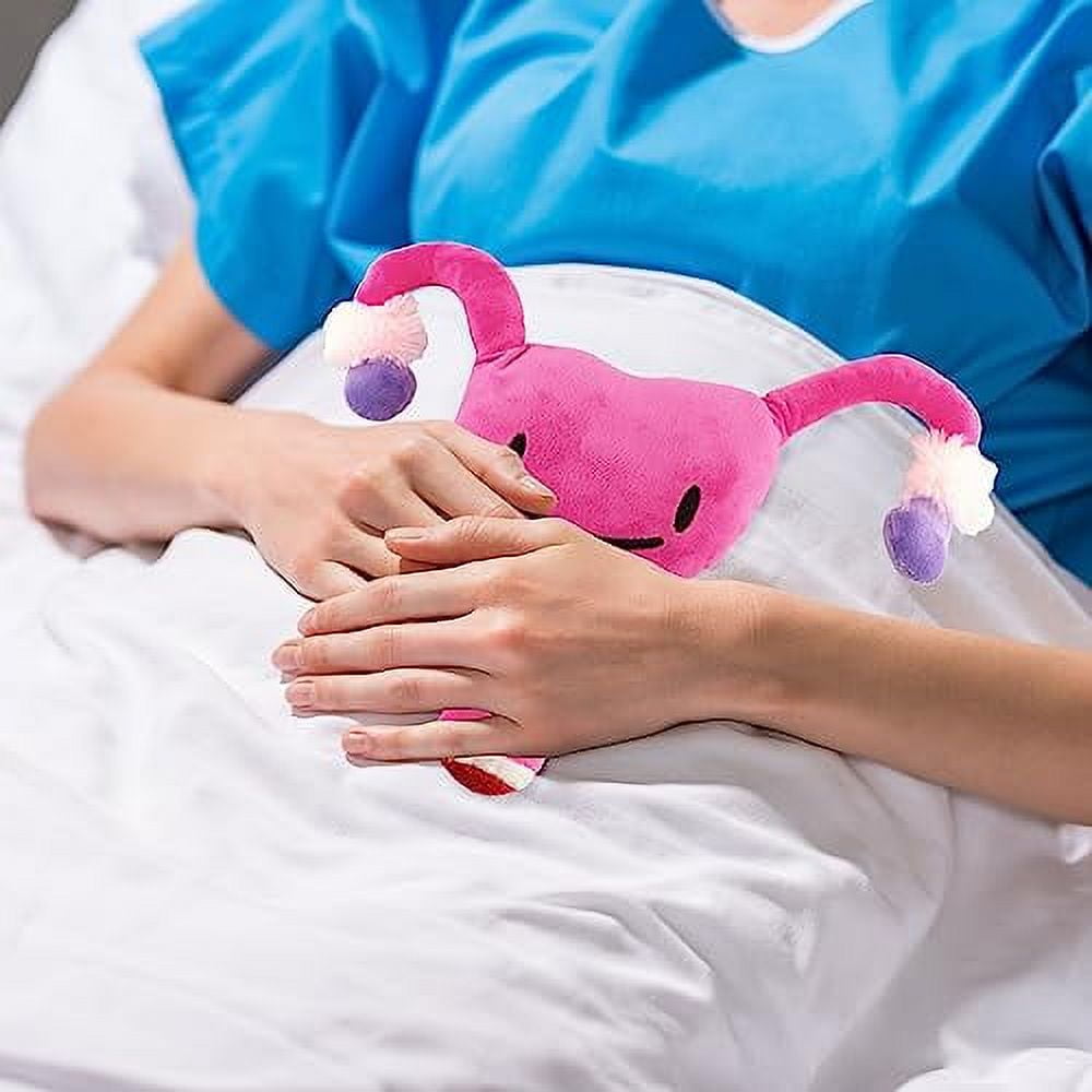 Ivy The Uterus Plush Stuffed Toy - 12" X 12" Huggable Body Part Plush, Great Gift For Women