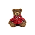 thumbnail image 1 of Plushland Adorable Frankie Bear 10 Inches, Stuffed Animal Personalized Gift - Custom Text on Raincoat, 1 of 1