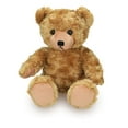 thumbnail image 1 of Plushland Stuffed Plush Teddy Bear – Ivy- Plush Bear Toy for Kids- Brown-12 inches, 1 of 1