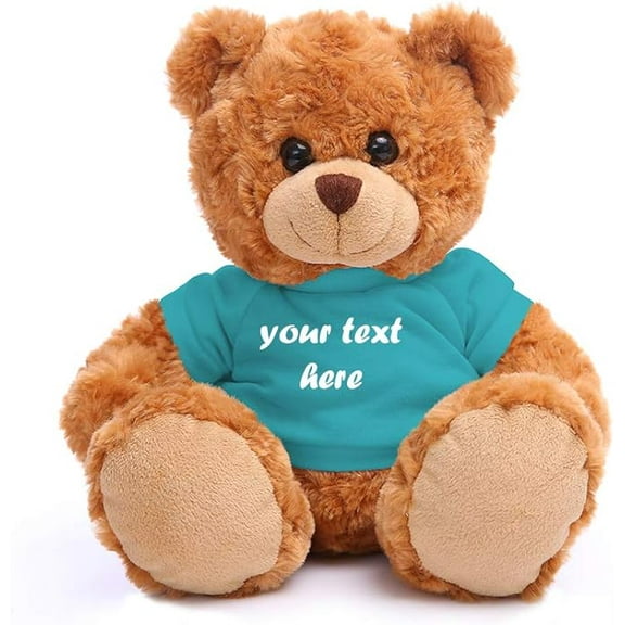 Made By Aliens Teddy Bear 11 Inch, Stuffed Animal Personalized Gift - Great Present for Mothers Day, Valentine, Graduation, Birthday,Anniversary, get Well,Christmas (Mocha Bear, torquoise)