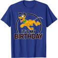 thumbnail image 1 of Pluto It's My Birthday DTG Print Unisex T-Shirt, 1 of 5