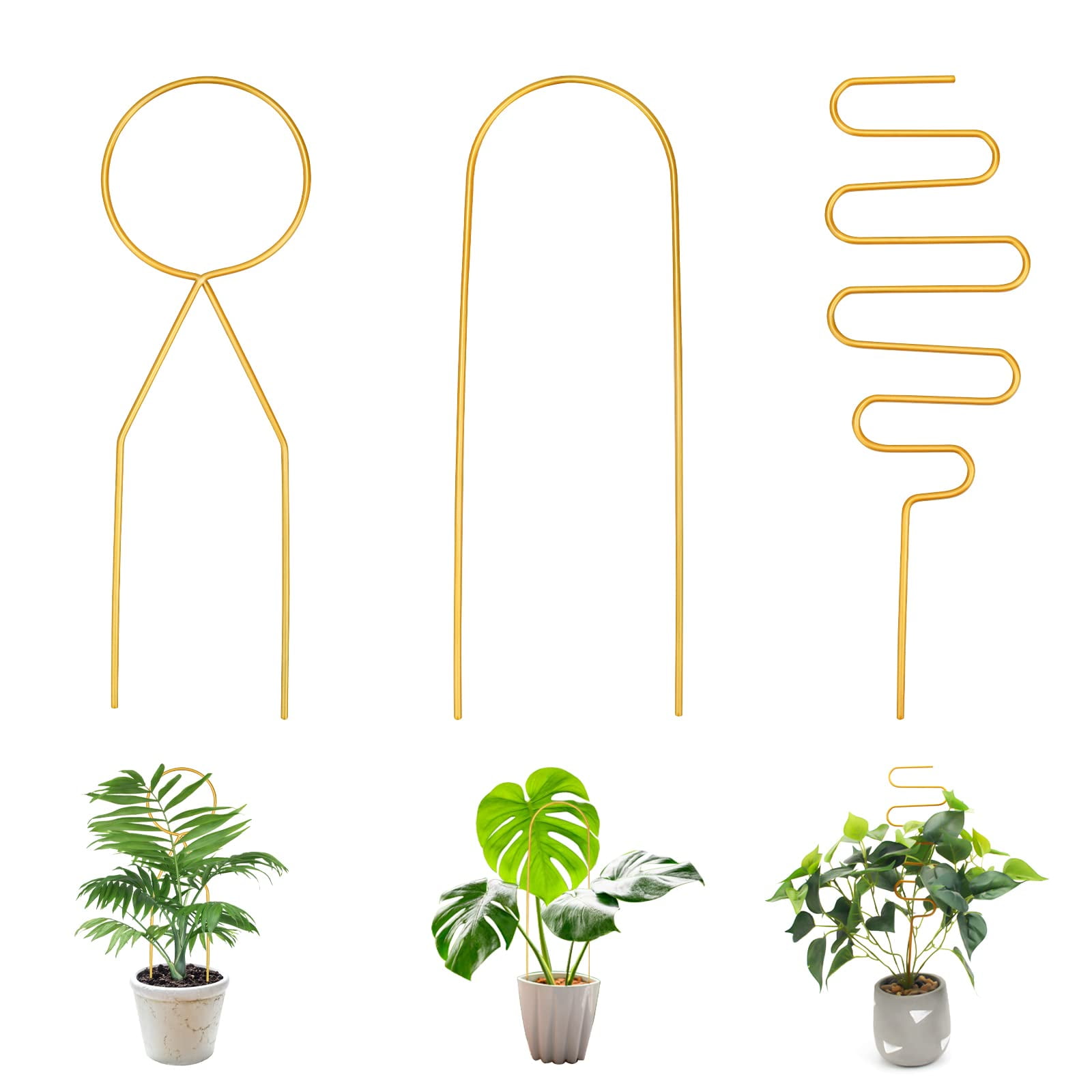 Plutput Metal Trellis for Potted Plants 13.3" x 4" Indoor Support -  Walmart.com