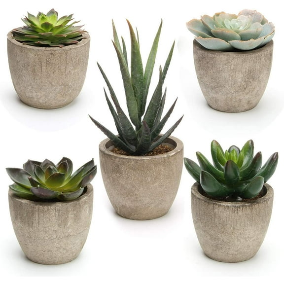 Plutput Home Decor 5" Artificial Succulent Plant in Beige Finish Modern ABS Pot 5 Count