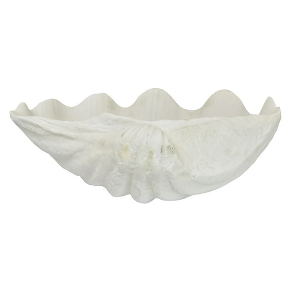 Plutus Modern Clam Shell Bowl Decor in White
