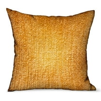 Plutus Brands Plutus Honey Lust Brown Solid Luxury Outdoor/Indoor Throw Pillow, 24L x 24W