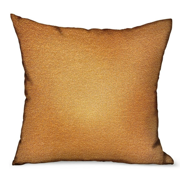 Plutus Brands PBRAO108-2424-DP 24 x 24 in. Burnt Sienna Brown Solid Luxury Outdoor & Indoor Throw Pillow