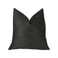 thumbnail image 1 of Plutus PBKR1981-2424-DP Black Panther Black Luxury Throw Pillow, 24 x 24 in., 1 of 3