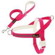 Plutus Pet Cotton Dog Harness and Leash Set, Reflective and Soft Padded, Hot Pink, M