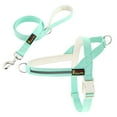 thumbnail image 1 of Plutus Pet Cotton Dog Harness and Leash Set, Reflective and Soft Padded, Light Cyan, M, 1 of 8