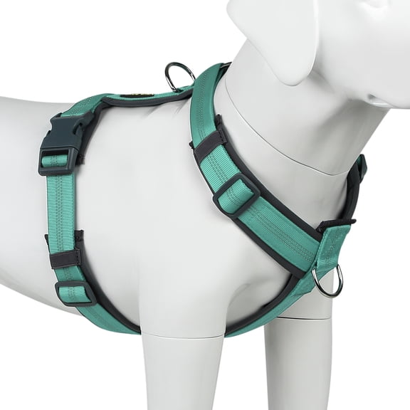 Plutus Pet Dog Harness, Adjustable Nylon Harness with Soft Padding, Reflective and Heavy Duty Dog Harness for Small, Medium, Large Dogs(Teal, XL)