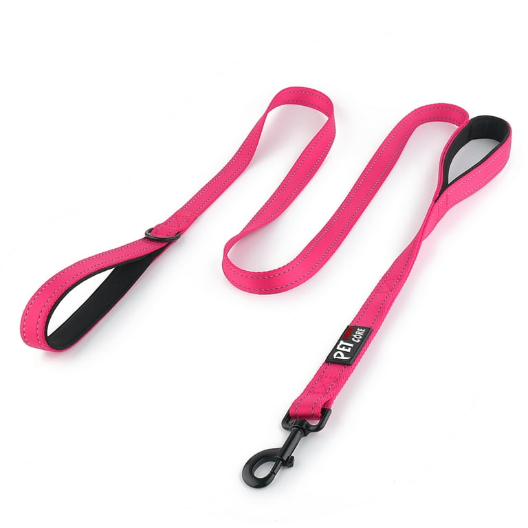 2 top handle leash