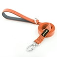 thumbnail image 1 of Plutus Pet Heavy Duty Dog Leash with Lockable Aluminum Carabiner, 4/6 Feet Long, Double-Sided Reflective Nylon, Padded Handle, for Puppy, Small, Medium and Large Dogs (Orange, 4/5" x 6'), 1 of 3