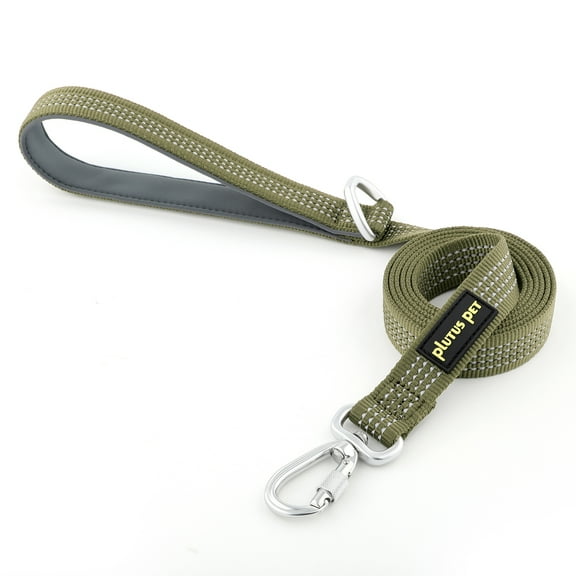 Plutus Pet Heavy Duty Dog Leash with Lockable Aluminum Carabiner, 4/6 Feet Long, Double-Sided Reflective Nylon, Padded Handle, for Puppy, Small, Medium and Large Dogs (Ranger Green, 1" x 4')