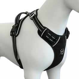 Comfy control harness hotsell