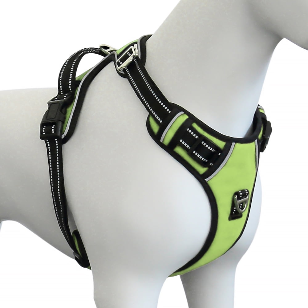 Plutus Pet No Pull Dog Harness, Release at Neck, Adjustable Reflective Dog Vest Harness, L, Green