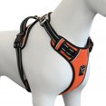 thumbnail image 1 of Plutus Pet No Pull Dog Harness, Release at Neck, Adjustable Reflective Dog Vest Harness, Soft Padded with Easy Control Handle, for Small Medium Large Dogs, 1 of 7