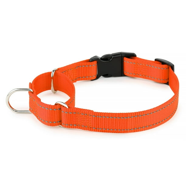 Plutus Pet Reflective Martingale Collar with Quick Snap Buckle