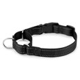 thumbnail image 1 of Plutus Pet Reflective Martingale Collar with Quick Snap Buckle, 1 of 7