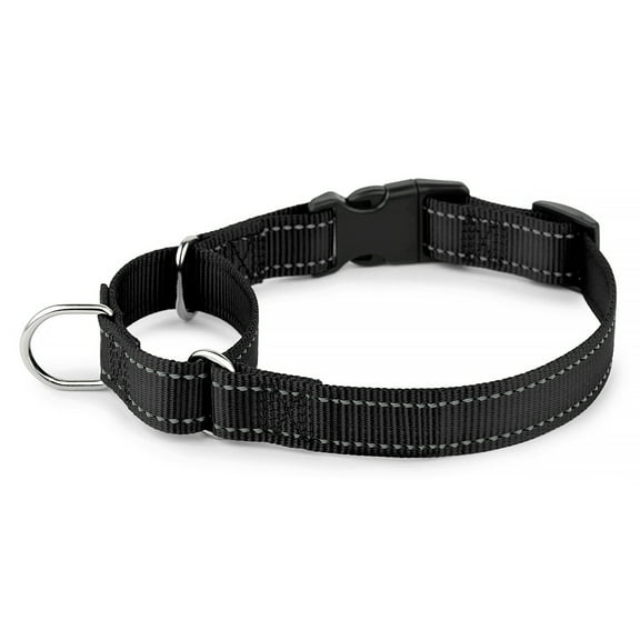 Plutus Pet Reflective Martingale Collar with Quick Snap Buckle