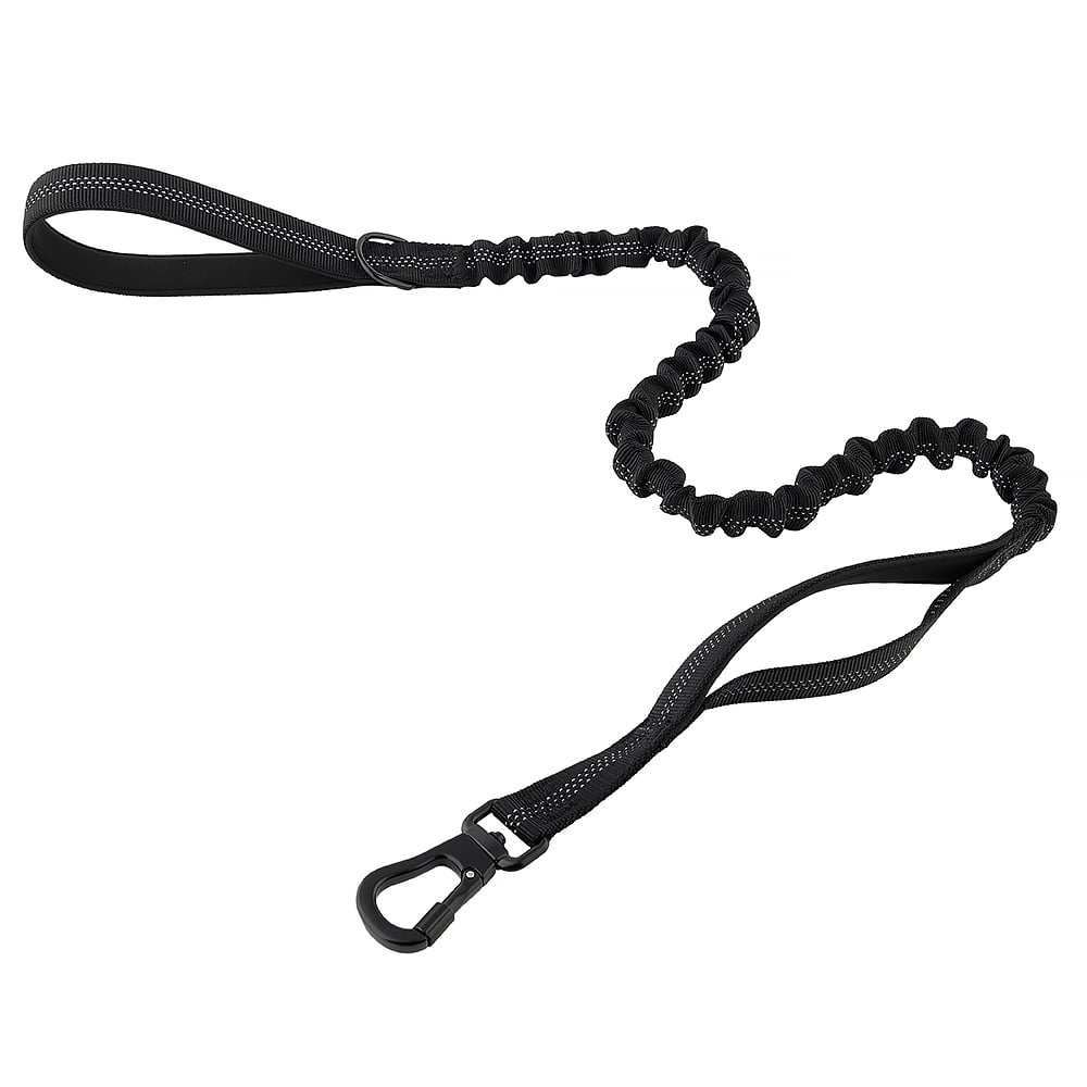 Dog 2024 leash clasp