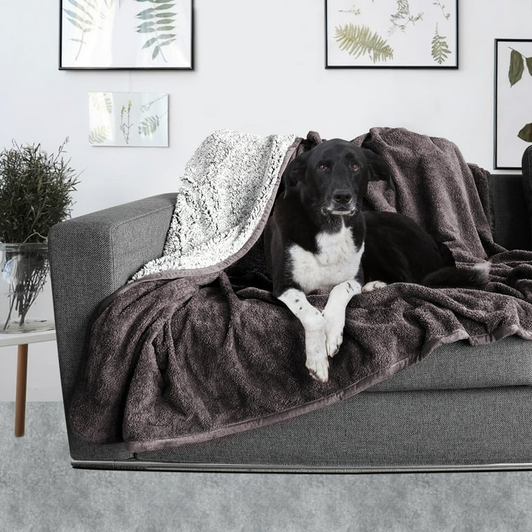 Waterproof pet blanket for couch new arrivals