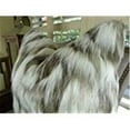 thumbnail image 1 of Plutus Tibet Fox Handmade Throw Pillow - Ivory & Beige - 20 x 30 in., 1 of 3