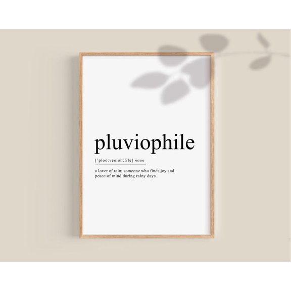 Pluviophile Definition Wall Art Print, Rain Lover Love, Inspirational Quotes Boho, Inspirational Office And Bedroom Decor
