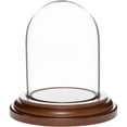 thumbnail image 1 of Plymor 1.85 inch x 2.875 inch Mini Glass Display Dome Cloche (Dark Wood Base), 1 of 1