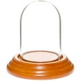 thumbnail image 1 of Plymor 1.85" x 2.875" Mini Glass Display Dome Cloche (Oak Veneer Base), 1 of 1