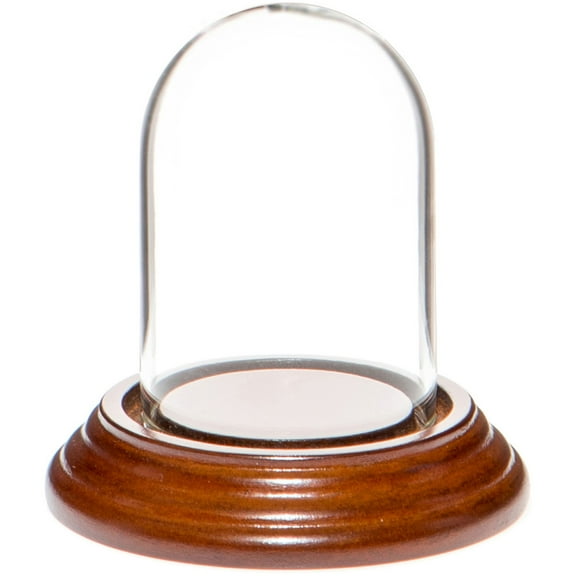 Plymor 1.85" x 2.875" Mini Glass Display Dome Cloche (Walnut Veneer Base)