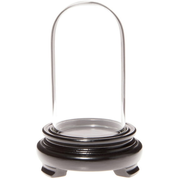 Plymor 1.85" x 3.5" Mini Glass Display Dome Cloche (Black Wood Veneer Footed Base)