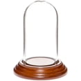 thumbnail image 1 of Plymor 1.85" x 3.5" Mini Glass Display Dome Cloche (Walnut Veneer Base), 1 of 2