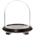 thumbnail image 1 of Plymor 11.75" x 12" Glass Display Dome Cloche (Black Wood Veneer Footed Base), 1 of 1